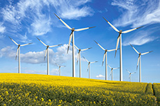 ERVEC advances green hydrogen and ammonia project