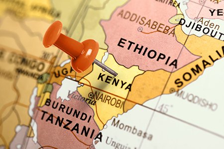 Sungrow and CRRC Zhuzhou supply electrolysers to Kenyan ammonia plant
